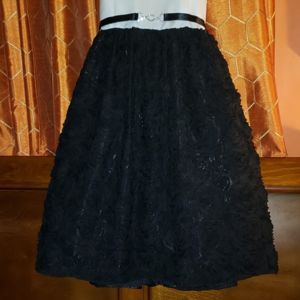 Prom Dress - Picture 3 of 6